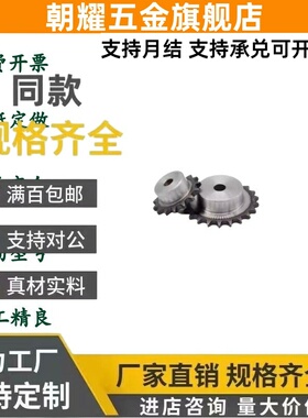 SP50B20/21-N-15/16/18/19/22/24/25/28/30/32/35/38/40/45 链轮