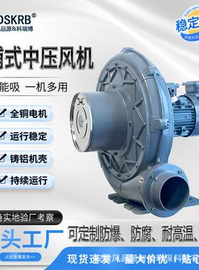 电晕机臭氧处理用TB透浦式中压风机可做耐腐蚀安徽风品源DSKRB厂