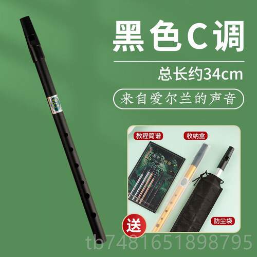 正品爱尔兰哨笛学吹箫笛直竖笛子6孔初奏者专业演便乐携器