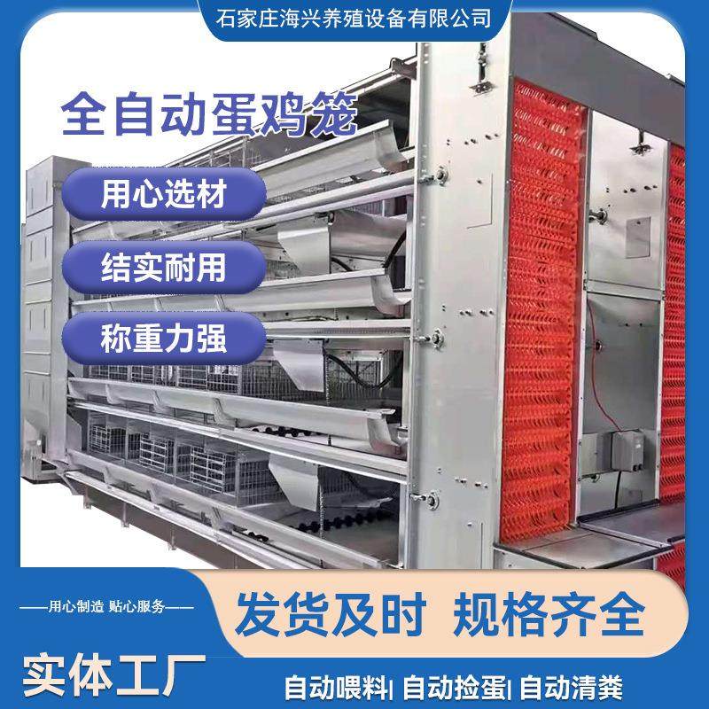 层叠蛋鸡笼h型全自动框架养殖设备蛋鸡笼养设备四五层加厚鸡场用