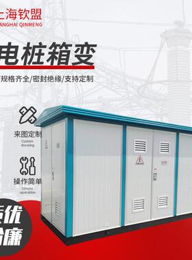 充电桩箱变高压预装式成套移动配电房变压器欧式新能源光伏充电桩