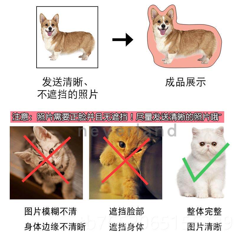 正品diy来图片形定宠物狗照狗猫咪异形抱枕制人靠垫订做可爱动物
