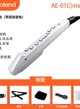 正品Roand罗兰电吹管乐器AE01乐初学5ae0/01c电l子萨娱克斯葫芦丝