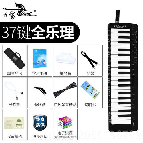 正品天鹅口风琴73键乐理黑全色儿童学生初学校老师推荐教学专业学