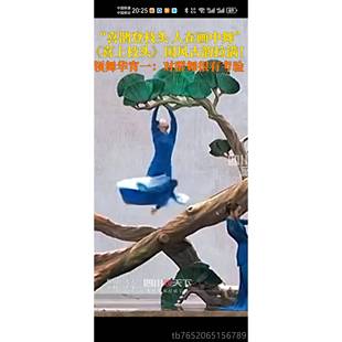 正品2025春晚同款上头枝舞蹈演出服舞台上服装古典服饰喜鹊枝头喜