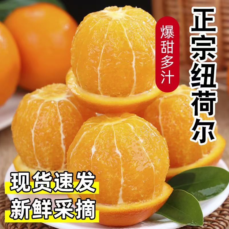 雪村长新鲜采摘当季孕妇儿童水果重庆高山纽荷尔8甜2酸整箱10斤