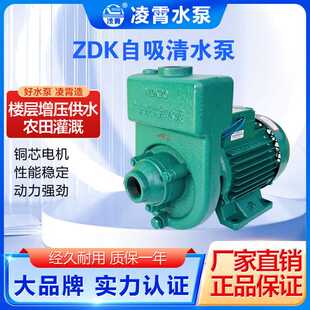 家用农用灌溉泵井水自来水高扬程泵 凌霄2ZDK 1ZDK