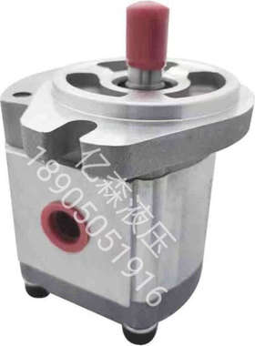 KOMPASS康百世齿轮泵P204 P206R P208R P214R P216 P219RP01DT/GT