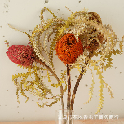 【锯齿叶班克木】进口高端花材家居民宿装饰干花摆设橱窗摆件花束