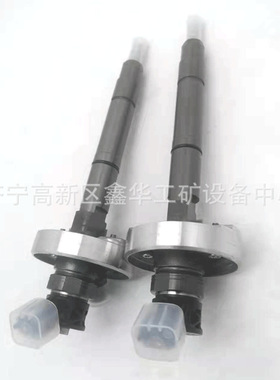 供应0445110795发动机喷油器油嘴