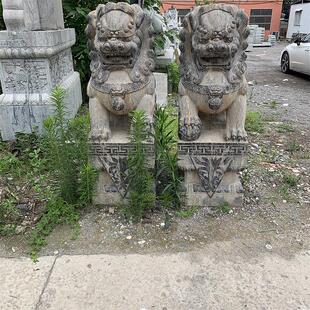 石狮子是中国传统文化中常见的守门神兽以石材为原材料雕塑成石狮