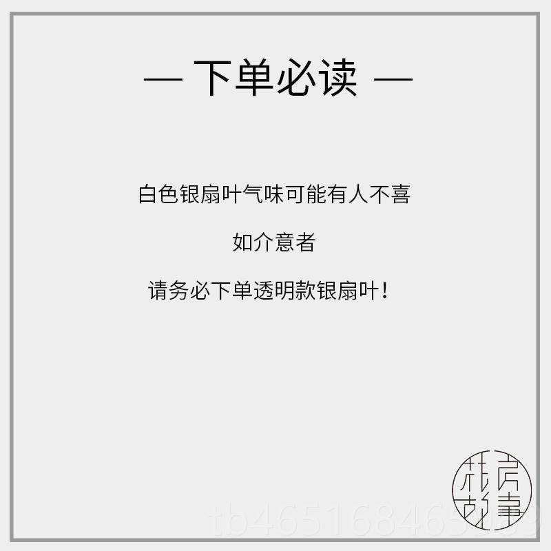 高档天然银乔扇叶花开束插花进口干果ins家居门店软装配饰业迁送,鲜花速递/花卉仿真/绿植园艺,干花,淘宝优惠券,粉丝福利购,淘宝优惠卷