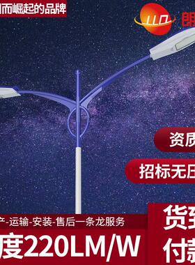 LED路灯60W00W50W200W户外道路照明高杆厂家6米8米0米2米4m