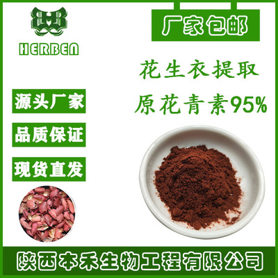 原花青素 95% 植物花青素 花生衣提取 CAS13306-05-3花色素