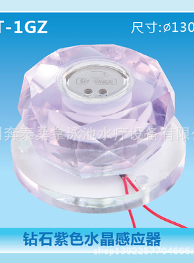 水疗SPA感应开关 温泉水疗开关 紫色水晶水疗开关 水疗设备HT-1GZ