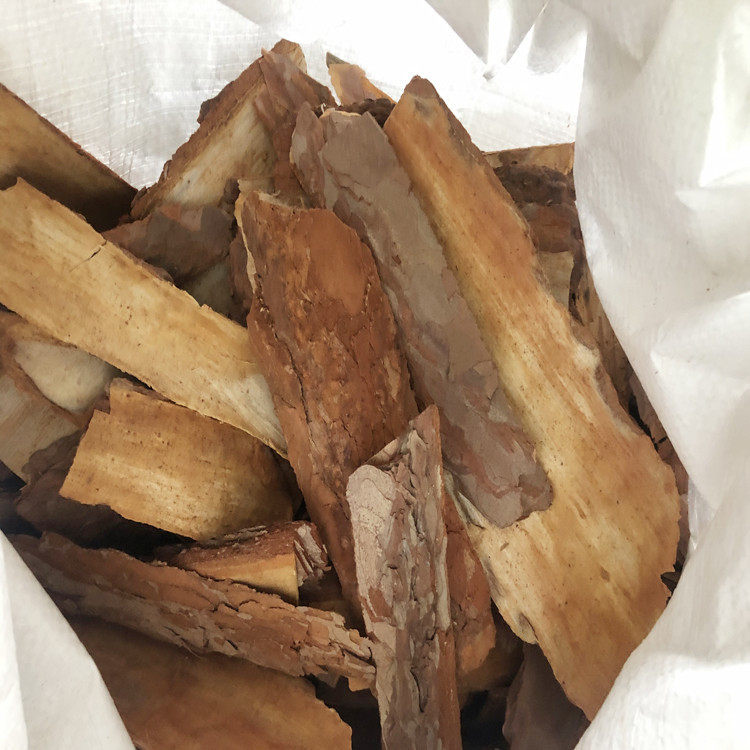 工业污水除臭松树皮填料 园林铺盖装填松树皮  悬浮球载体松树皮