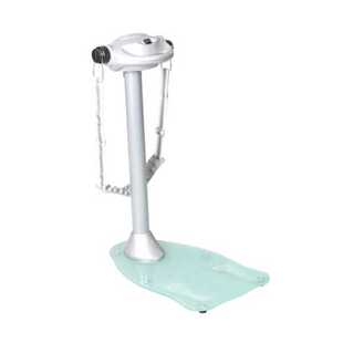 东莞健身器材厂家 家用按摩仪器 家用运动 电动美腰机