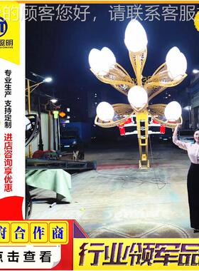 直销LE程D中华玉灯 8米市工广场VPY公园政户外照兰明中华路灯玉兰