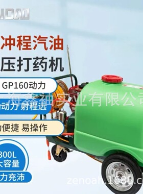海道3WZ-300B四冲程汽油打药机GP160动力300升喷药机