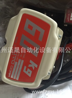 电动葫芦ED06S ED10S ED18S ED16S ED24S ED48S