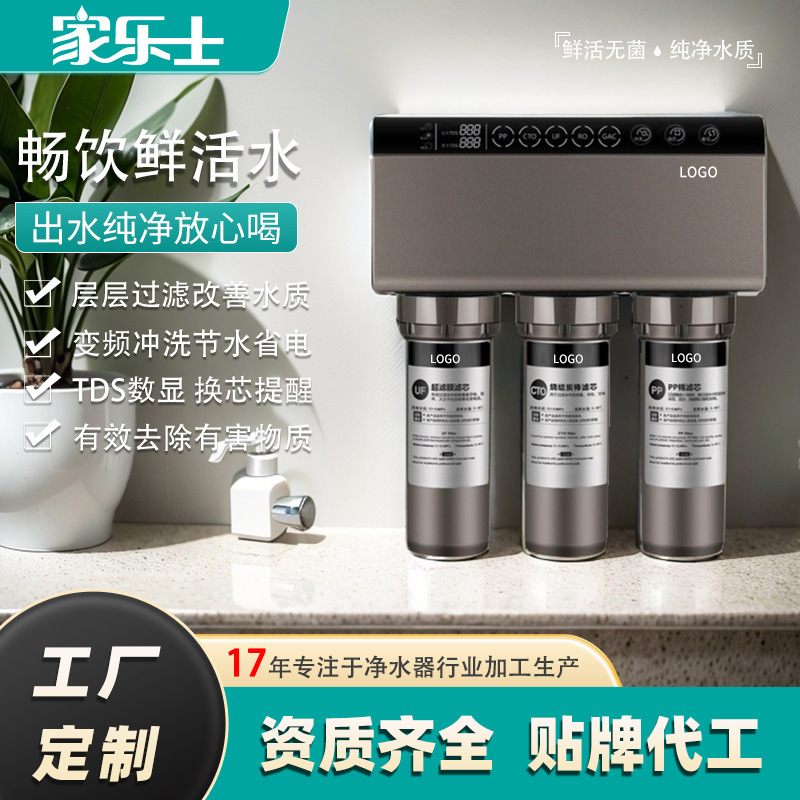 定制净水器家用厨下式双出水直饮净饮机RO反渗透过滤纯水机净水机
