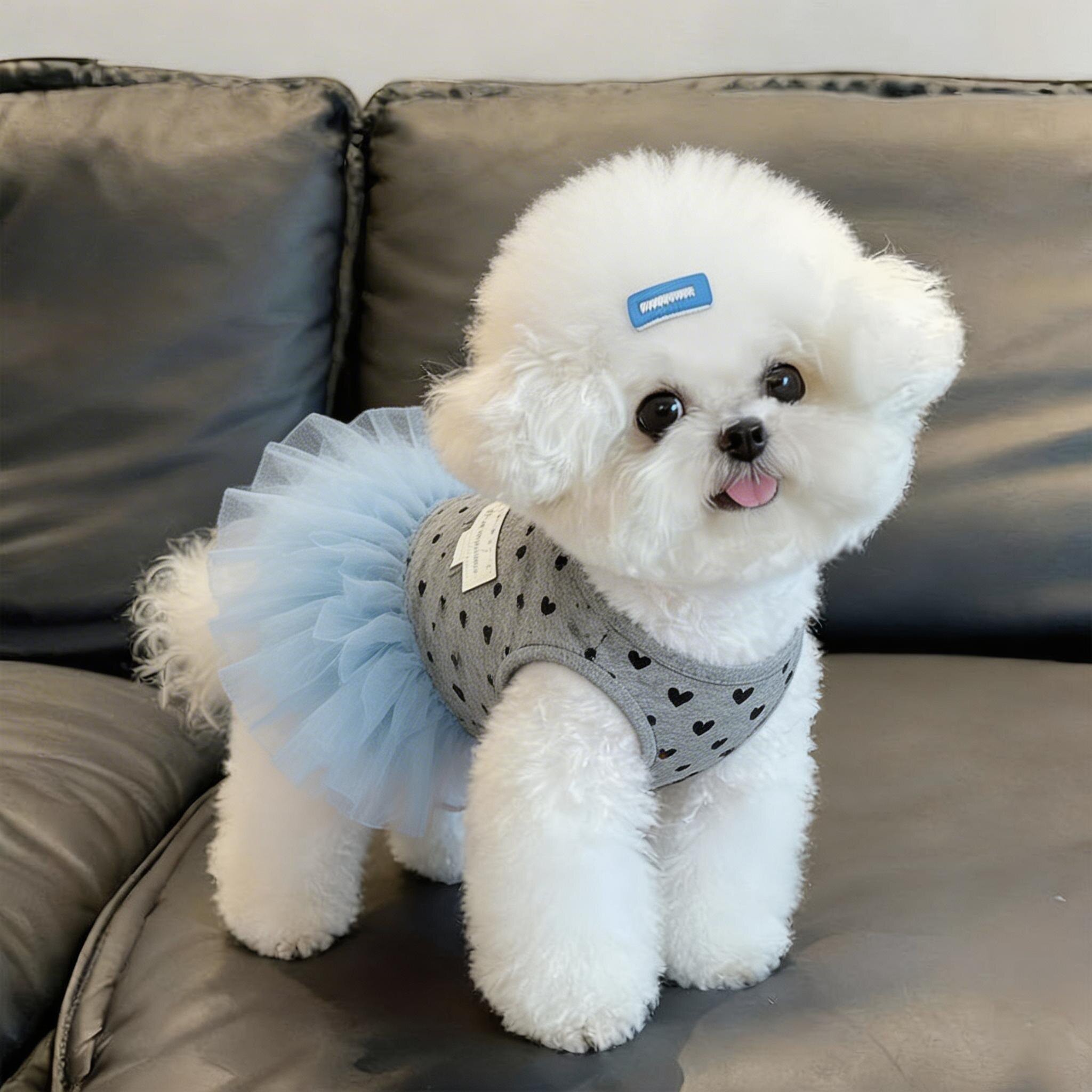 狗狗衣服2026新款夏季薄款透气宠物裙子漂亮猫咪背心裙小型犬比熊