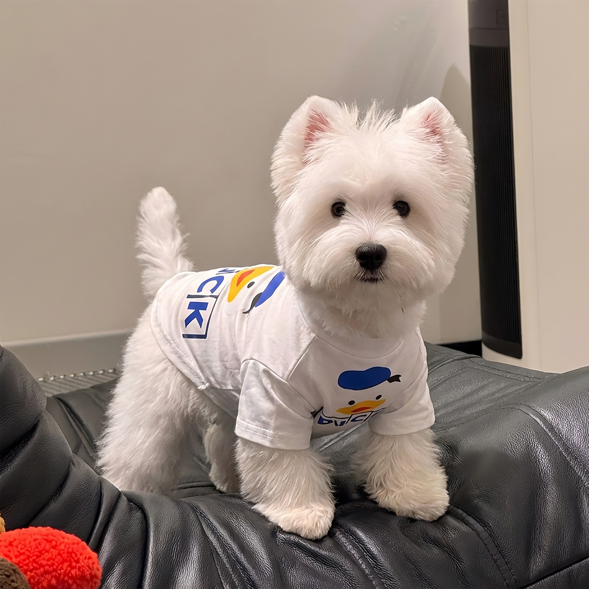 宠物狗狗衣服夏天薄款小型犬比熊t恤短袖防掉毛猫咪背心2026新款