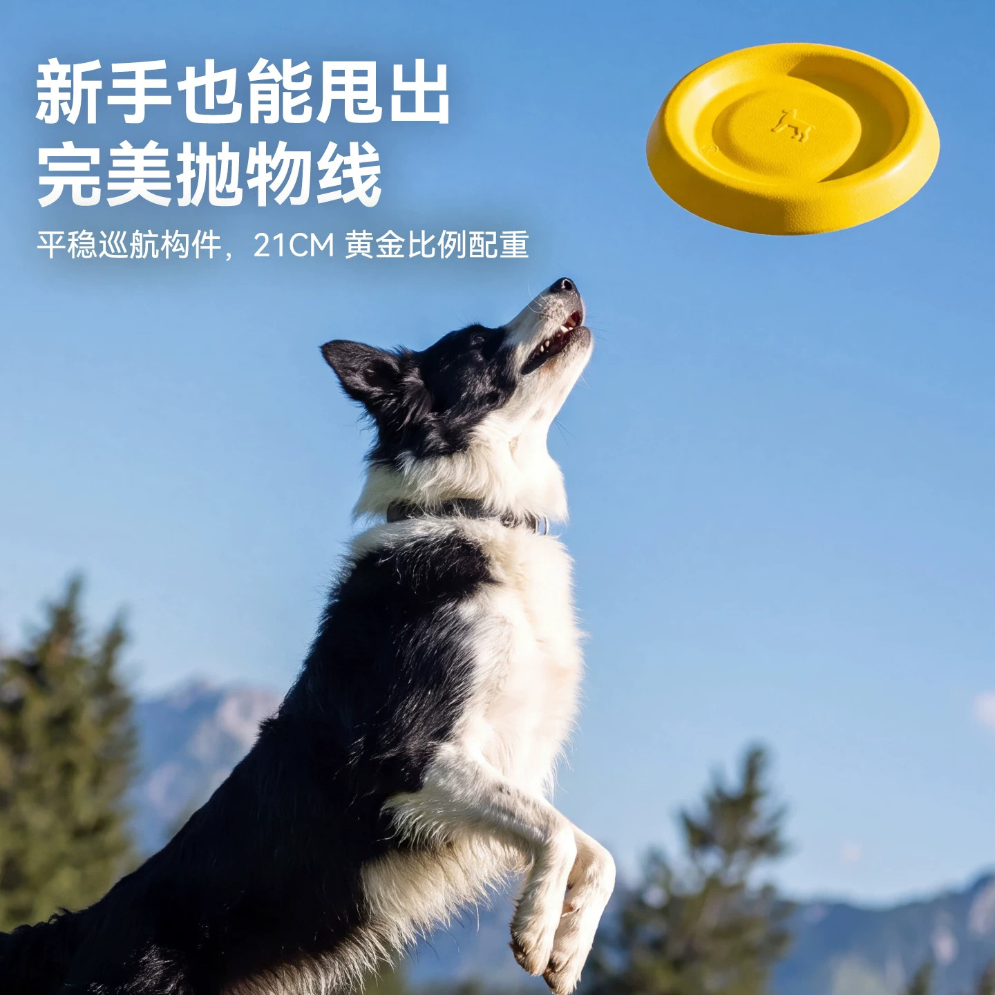 狗狗飞盘玩具可浮水边牧