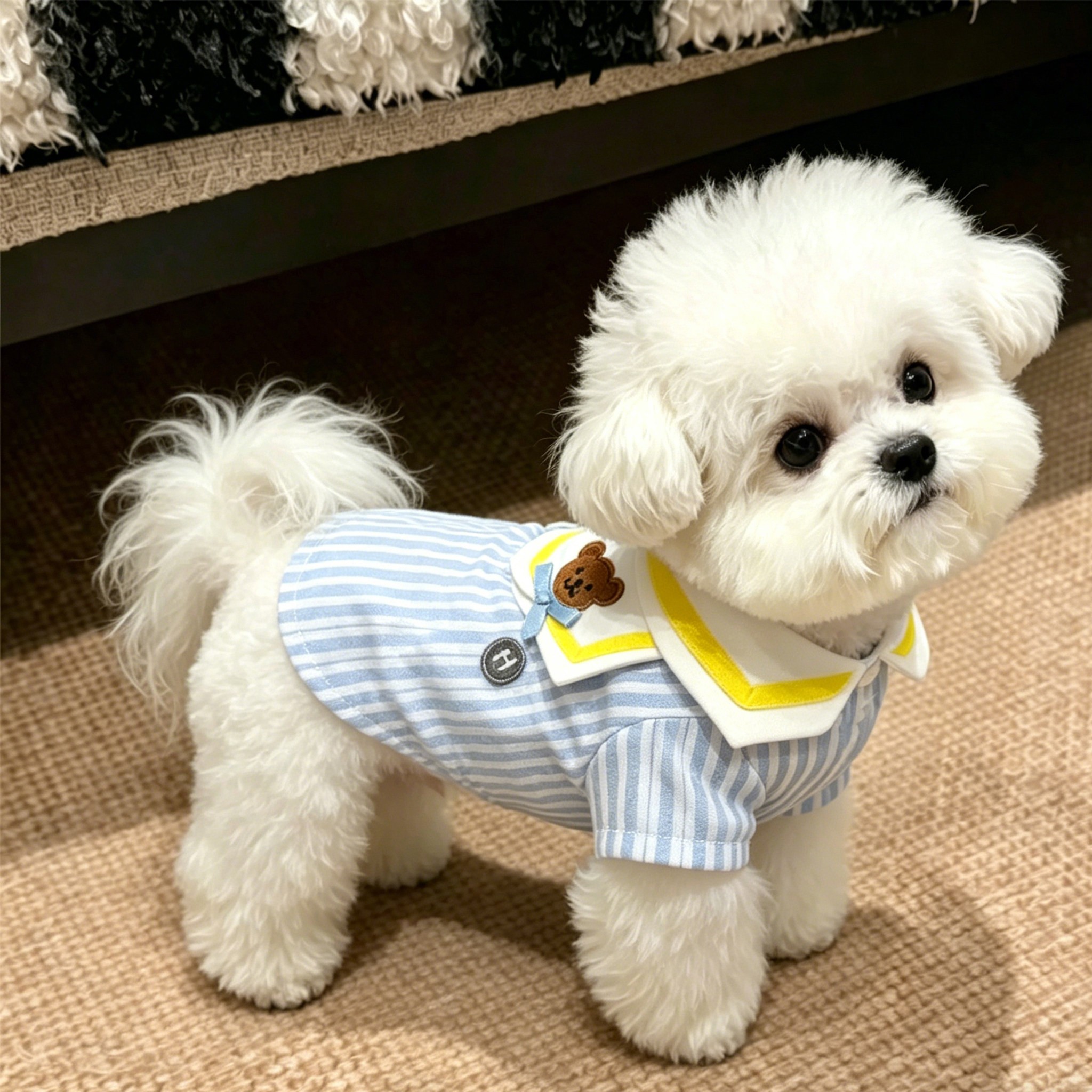 宠物狗狗衣服薄款夏季背心小型犬泰迪可爱猫咪马甲防掉毛2026新款
