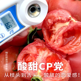 水果西红柿生吃新鲜沙瓤酸甜自然熟草莓心番茄饱腹感 上门配送