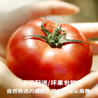水果西红柿生吃新鲜沙瓤酸甜自然熟草莓心番茄饱腹感【上门配送】