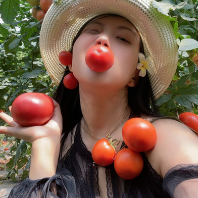 【老客专享】水果西红柿生吃新鲜沙瓤酸甜自然熟草莓心番茄饱腹感