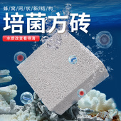 AC鱼缸滤材培菌l方砖滤材细菌屋底滤水族箱过滤材料净水生化培菌