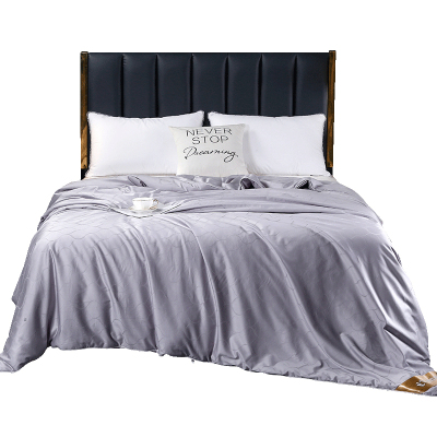 【镇店之宝】7A级春双宫茧蚕丝被100J%桑蚕丝春秋被冬被原产地