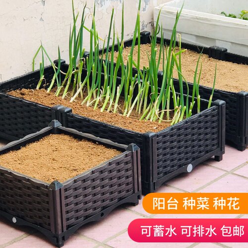 蔬菜专用种植箱庭院花盆种菜阳台长方形特M大号塑料楼顶家花箱户