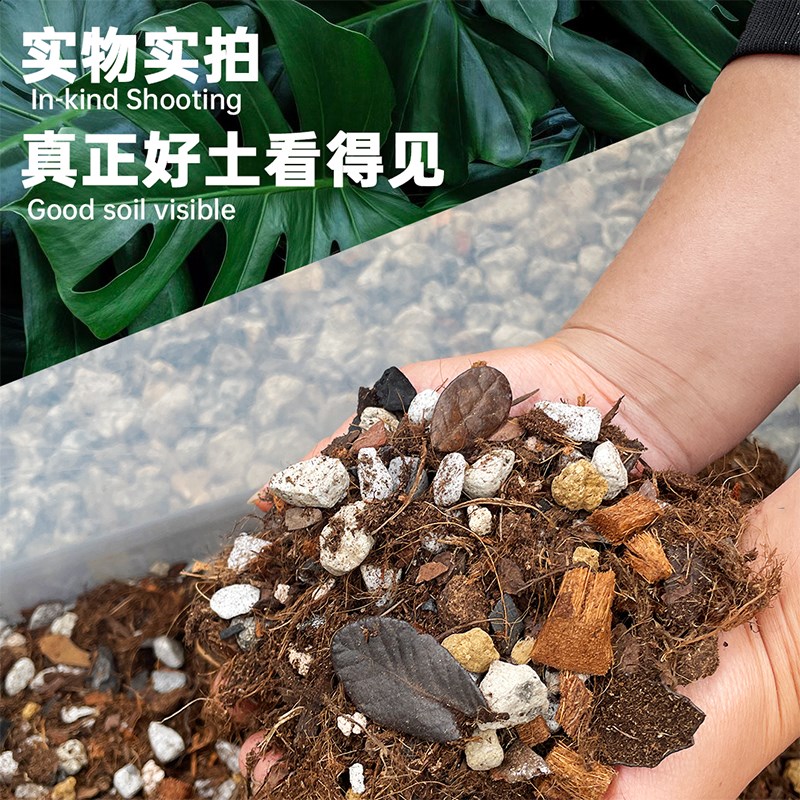 天南星科热植龟背竹营养土蔓绿绒海芋花烛泥炭土W盆栽颗粒土壤