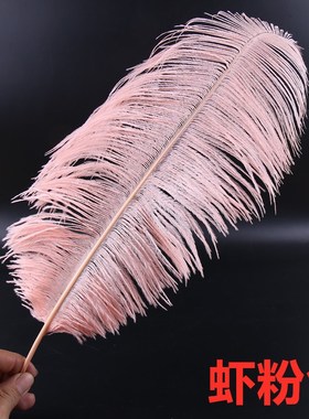 南非鸵鸟羽毛酒店婚庆装饰 舞台道具 服装辅料DOIY羽毛50-55厘米