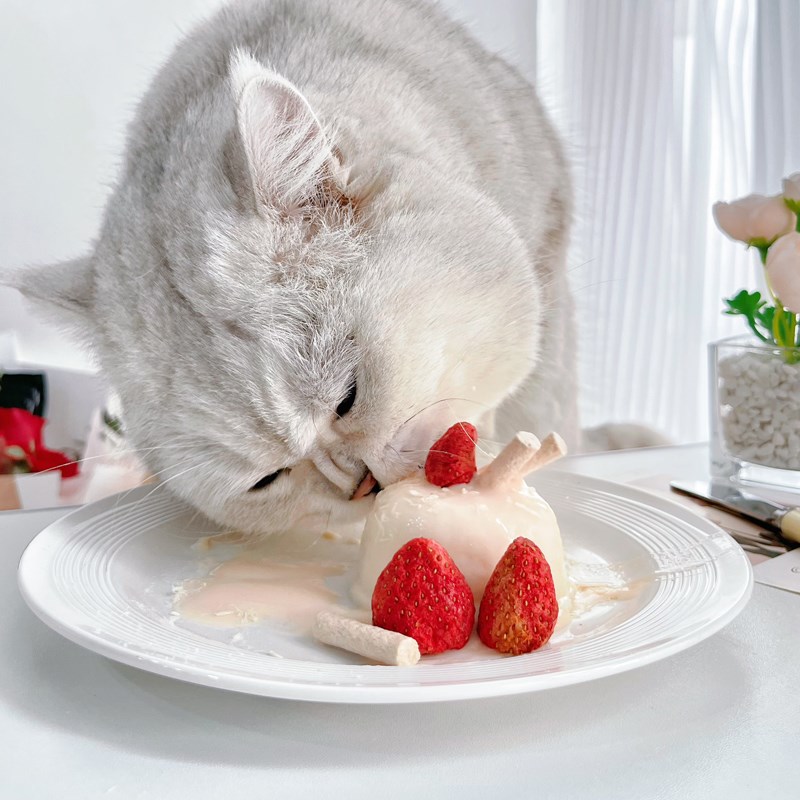 仙森元奶芝芝每日幸运小蛋糕宠物猫犬R餐盒鸡肉乳鸽口味