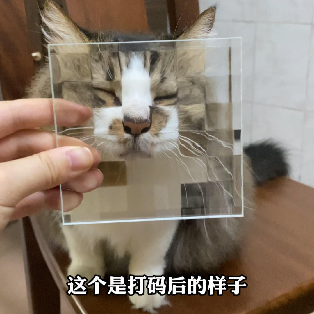 玻璃马赛克猫咪拍照逗猫棒