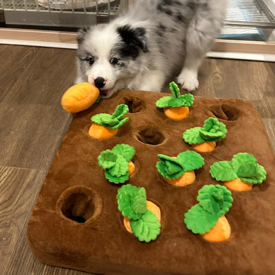 宠物玩具耐咬狗狗拔萝卜解闷神器自嗨嗅闻垫消耗体力狗狗丰容玩具