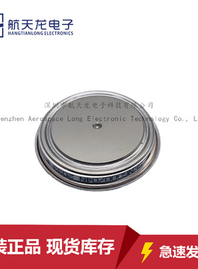 SKN6000/04N SKN6000/06N SKN6000/02N晶闸管可控硅模块