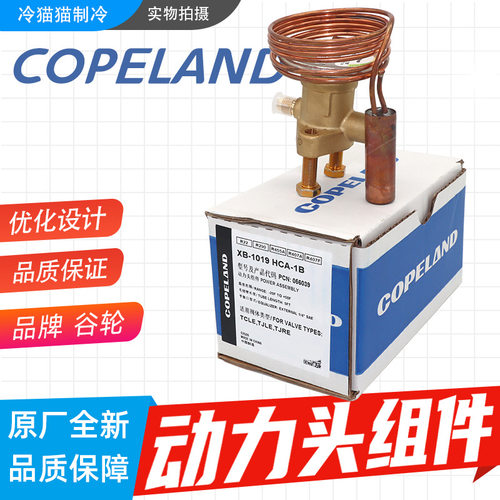 EMERSON艾默生动力头XB-1019HCA/HZ/NW100/SC-1B热力膨胀阀动力头