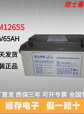 理士蓄电池DJM1265S 直流屏 UPS电源12V65AH 发电厂专用蓄电池