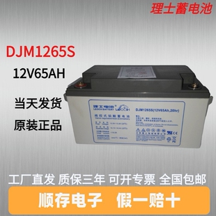 理士蓄电池DJM1265S 直流屏 UPS电源12V65AH 发电厂专用蓄电池