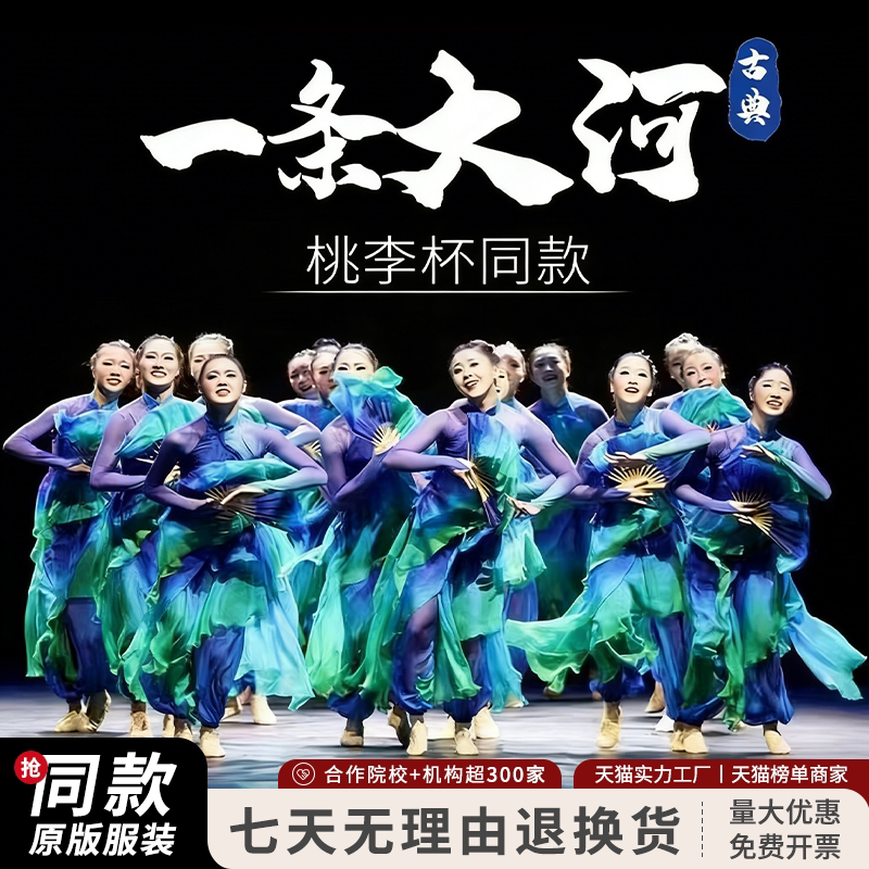 儿童古典舞蹈服大河民族舞蹈服