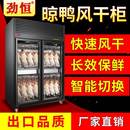 劲恒晾鸭柜商用烤鸭风干柜晾胚柜烧鸭烤鸡烧鹅风干机烘干除湿保鲜