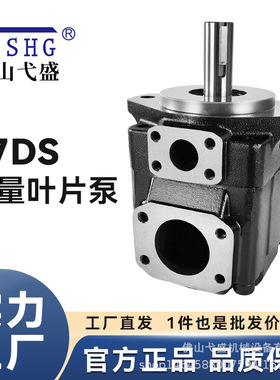 伺服叶片油泵T7DS-B17 20 22 24 28 31 35 38 42 45 50-1R00-A1M0