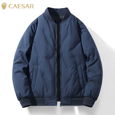 凯撒大帝2025年秋季新款男士纯色中青年纯色百搭保暖上衣羽绒服J