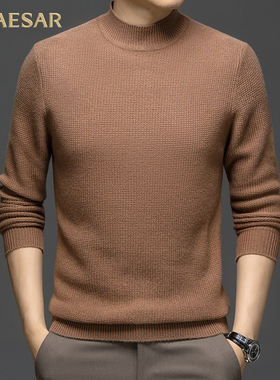 凯撒大帝2025年秋冬季男士纯色时尚百搭中老年保暖舒适针织衫上衣