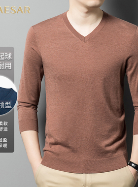 凯撒大帝2025冬季新款男士鸡心V领秋冬薄款爸爸装纯色打底男毛衣J